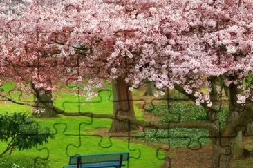 Almendros floridos jigsaw puzzle