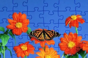 Flore y mariposas jigsaw puzzle