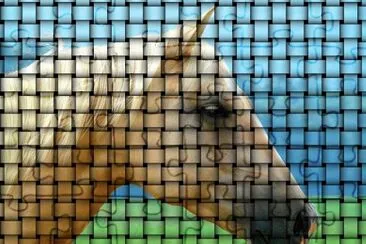 Distorted Horse jigsaw puzzle