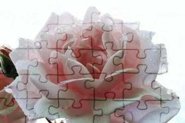 Fotos Varias jigsaw puzzle