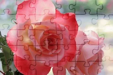 flores jigsaw puzzle