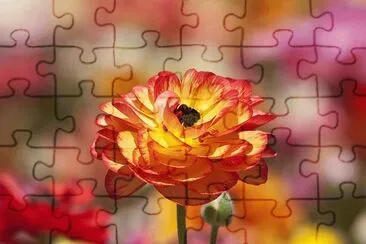 flores jigsaw puzzle