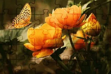 * jigsaw puzzle