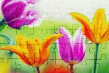 image jigsaw puzzle