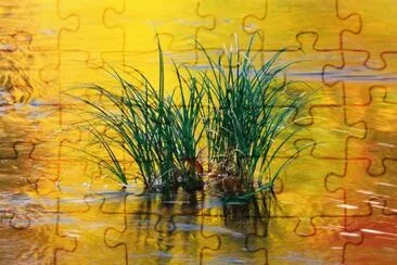  jigsaw puzzle