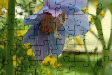 Flower jigsaw puzzle