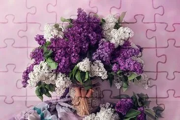 Lilacs-Photography Art