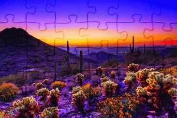 McDowell Sonoran Preserve-Arizona jigsaw puzzle