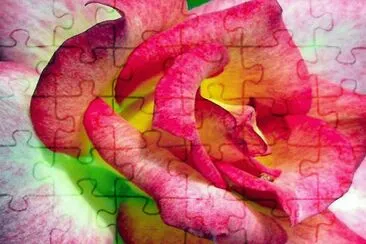 image jigsaw puzzle