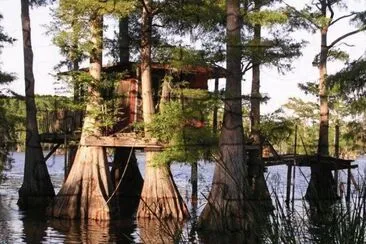 tree house.