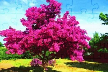 image jigsaw puzzle