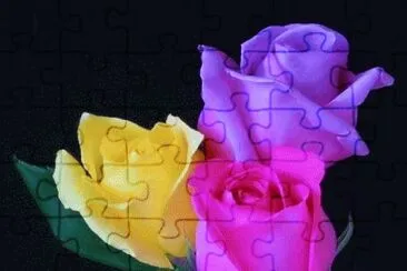 image jigsaw puzzle