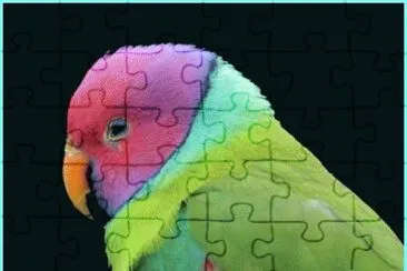 image jigsaw puzzle