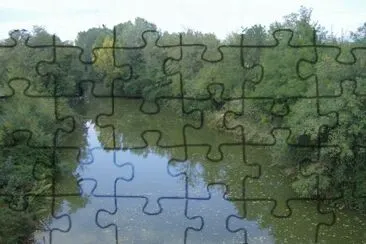 d jigsaw puzzle