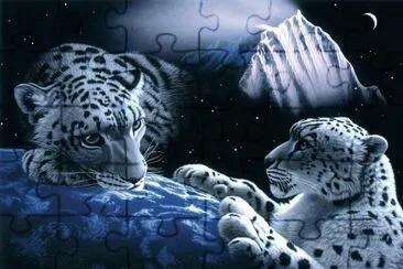 tigres jigsaw puzzle