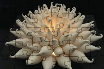 ceramic light