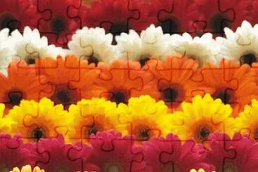 image jigsaw puzzle