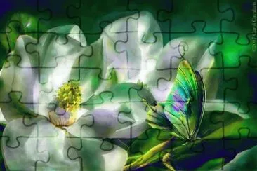 puzzle jigsaw puzzle