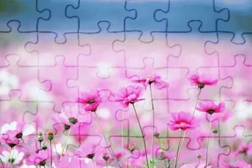 puzzle jigsaw puzzle