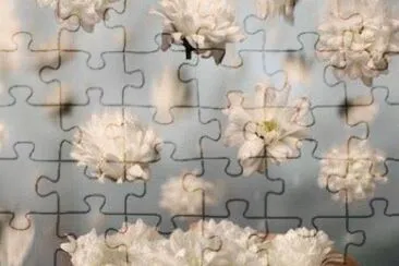 flower jigsaw puzzle