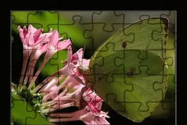 v jigsaw puzzle