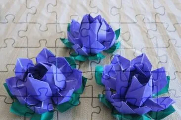 Origami Lotus Flowers