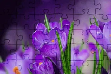 flores jigsaw puzzle