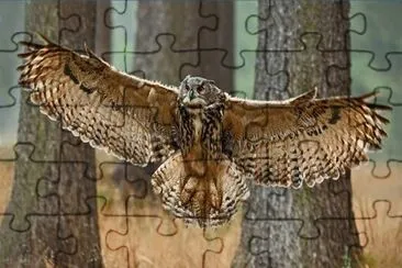 BÃºho en vuelo jigsaw puzzle