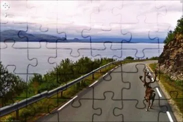 211 jigsaw puzzle