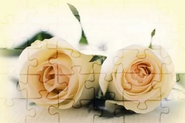 flores jigsaw puzzle