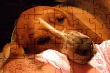 SueÃ±os jigsaw puzzle