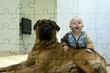 mi mascota jigsaw puzzle