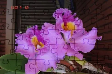 orquidea jigsaw puzzle