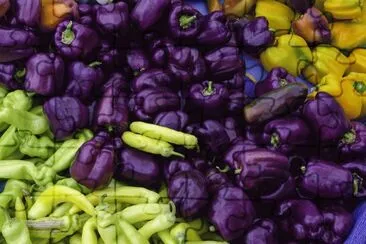 Fresh Purple Peppers