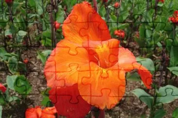 Flower jigsaw puzzle