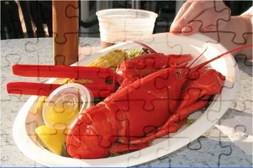 New England lobster