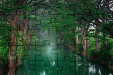 Imagenes jigsaw puzzle