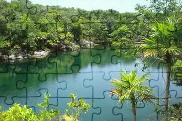 agua jigsaw puzzle