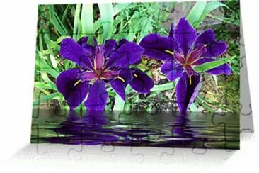 Deep Purple Flowers on River Bank