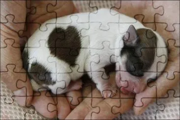 ImÃ¡genes jigsaw puzzle