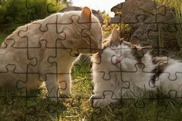 ... jigsaw puzzle