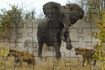 ... jigsaw puzzle