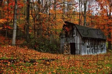 פאזל של autumn country barn