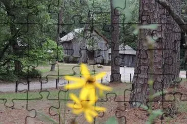 Old Church Beyond a Flower