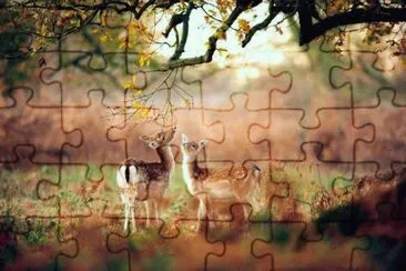 ImÃ¡genes jigsaw puzzle