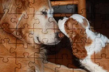 ImÃ¡genes jigsaw puzzle