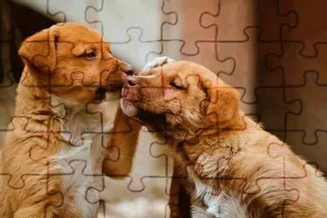 ImÃ¡genes jigsaw puzzle