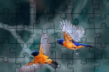 ImÃ¡genes jigsaw puzzle