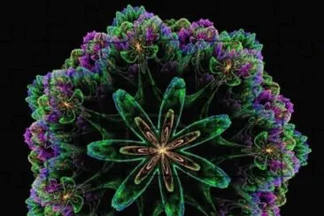 פאזל של fractal flower