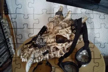 cool jigsaw puzzle